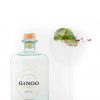 Ginoo gin with no alcohol by Sterkstokers