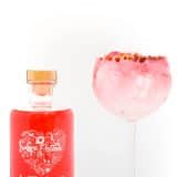 Love Potion Gin from Sterkstokers small